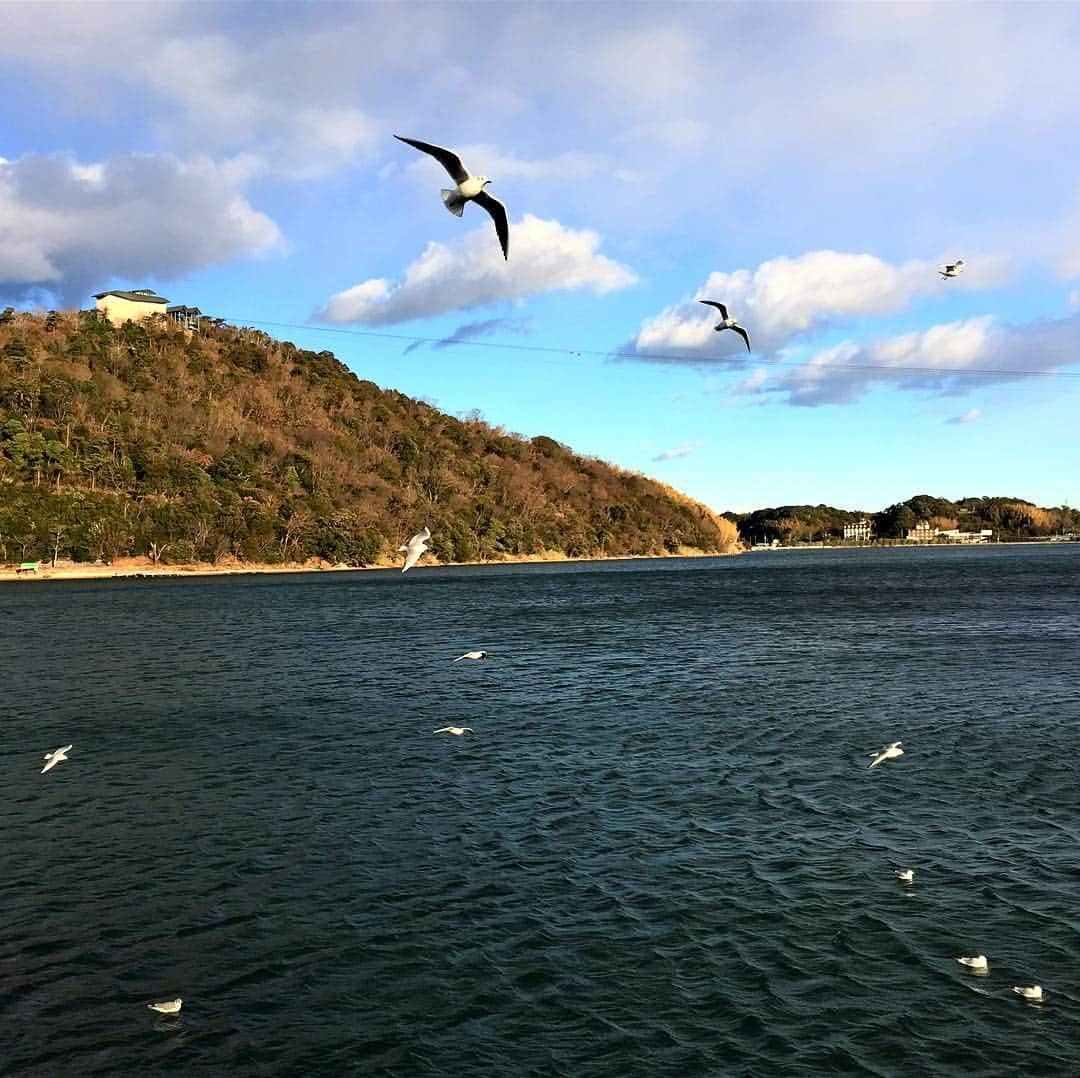 森永製菓のインスタグラム：「【 #お出かけエンゼル 〜浜名湖編〜】 静岡県にある日本で10番目に大きい湖、浜名湖へ。極寒の中、遊覧船に乗りました。 . 写真を撮っているとなぜか水色の丸いものが。何枚も同じように撮っていたのですが、この1枚だけ…。 . あまりにも寒くてカメラが壊れたのでしょうか…それとも太陽光の影響でしょうか…不思議です。 . #森永 #森永製菓 #morinaga #エンゼル #静岡県 #静岡 #浜名湖 #遊覧船 #寒い けど #景色 を楽しむ」