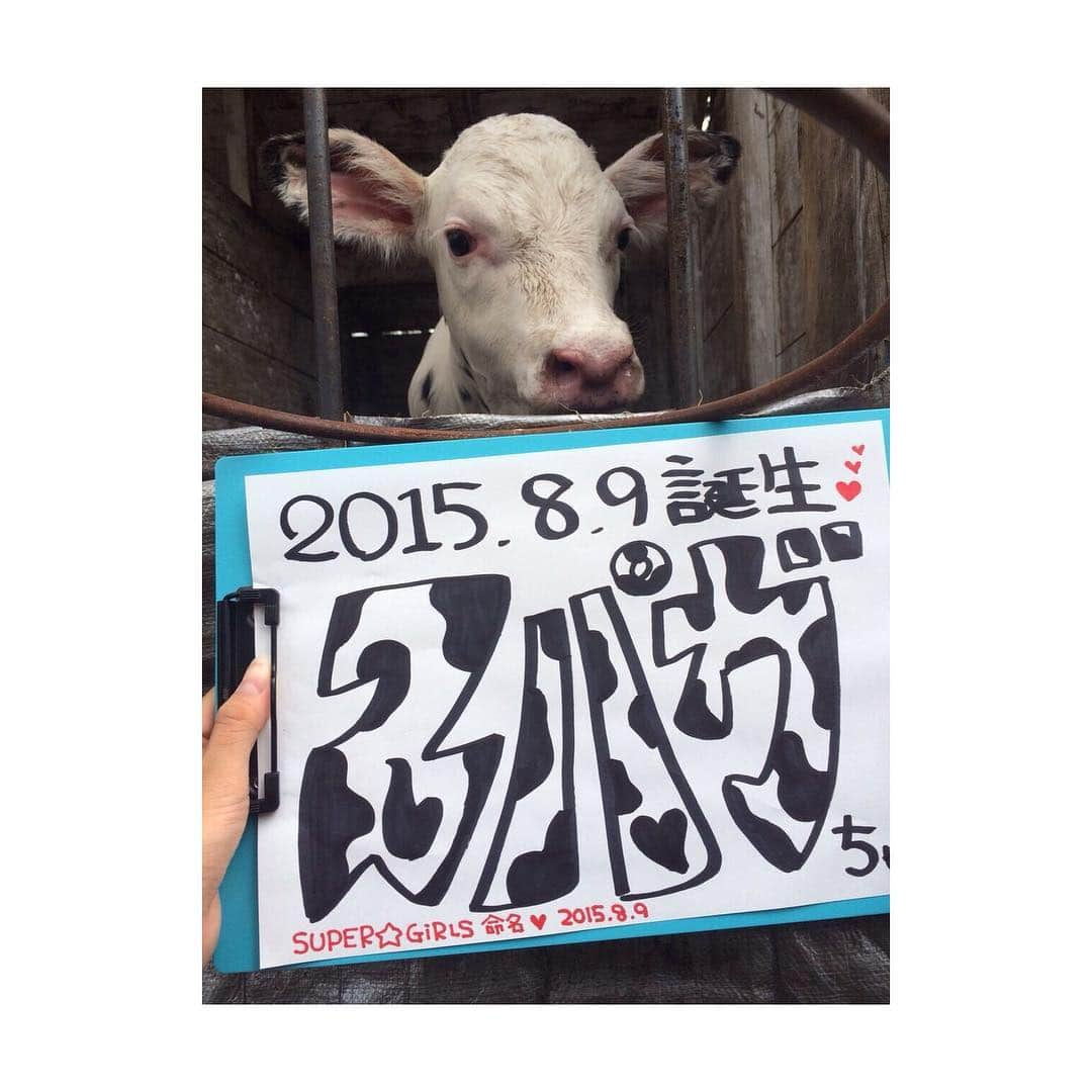 溝手るかさんのインスタグラム写真 - (溝手るかInstagram)「そういえばスパガちゃん元気かな〜🐄?? #北海道 #むらかみ牧場 #日本列島縦断の旅」1月17日 22時15分 - ruka_mizote