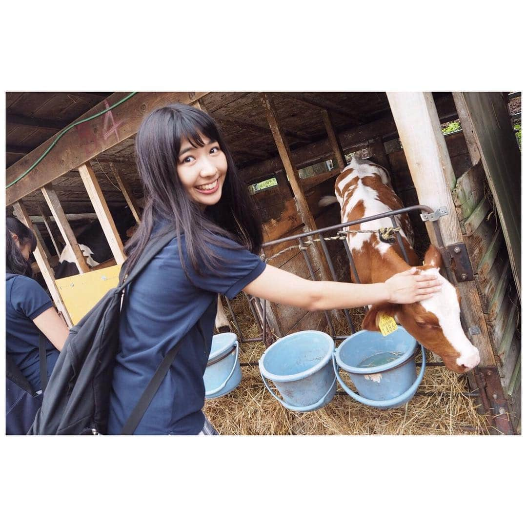 溝手るかさんのインスタグラム写真 - (溝手るかInstagram)「そういえばスパガちゃん元気かな〜🐄?? #北海道 #むらかみ牧場 #日本列島縦断の旅」1月17日 22時15分 - ruka_mizote