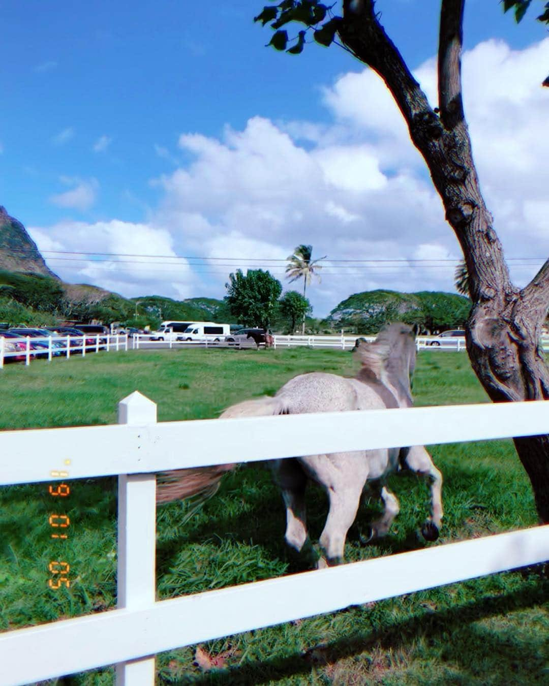 加治ひとみさんのインスタグラム写真 - (加治ひとみInstagram)「Horse riding.🐴🐴🌈✨ - - #travel  #nature」1月17日 22時21分 - kaji_26