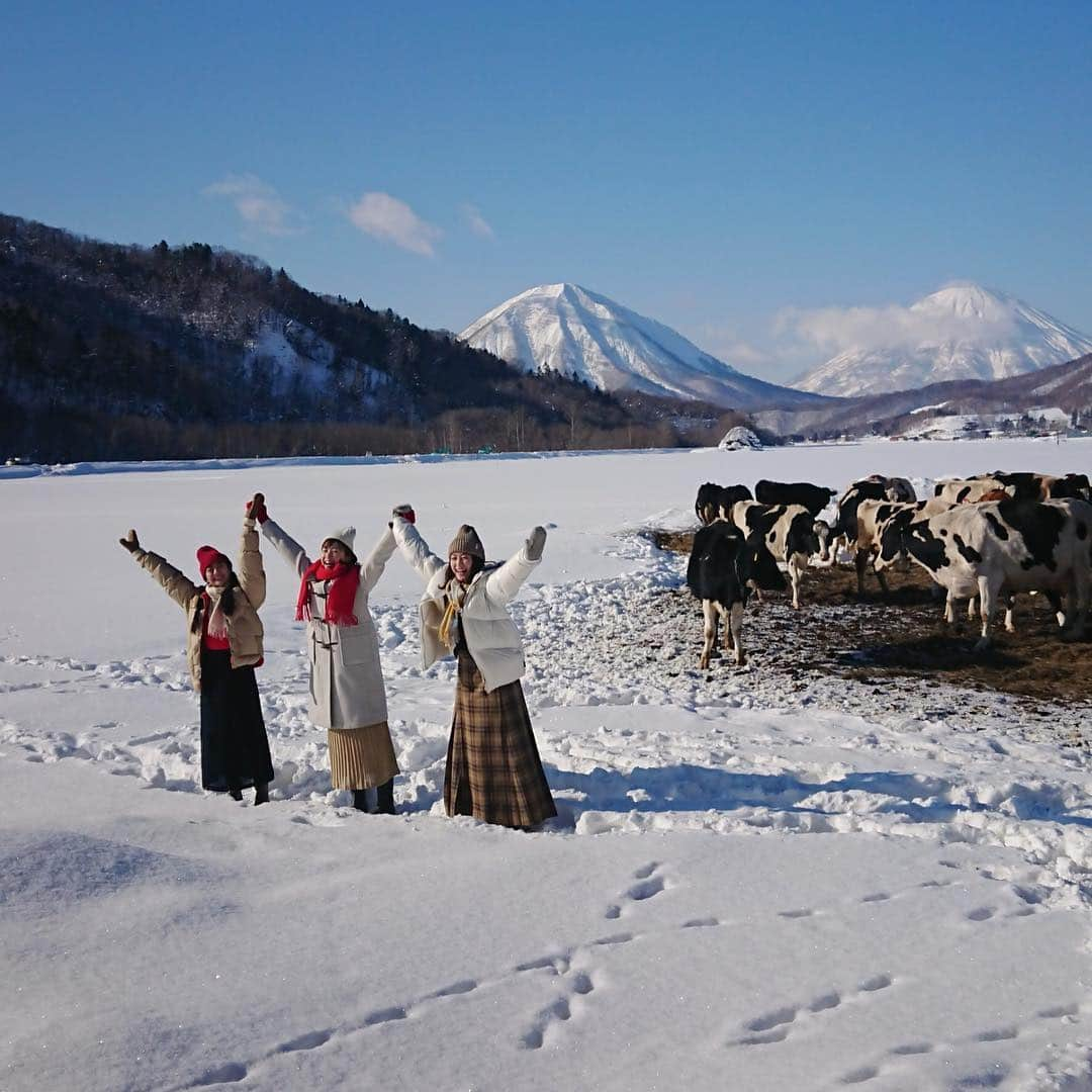 黛英里佳さんのインスタグラム写真 - (黛英里佳Instagram)「先日北海道でミルクランド北海道の撮影をしてきました🤗🐄 この頃北日本は寒波の影響で猛吹雪のところも多いかと思いますが😣❄️ 撮影をした日は見事なお天気☀️ 風もなく羊蹄山も綺麗に見えて😍 久しぶりの妹たちとも楽しい撮影ができました😆💕 いやでも寒かった🤣 そしてそして、またまた電車ジャック！！ しちゃいます🤩 ・ ■JR東日本「山手線」：平成31年2月16日（土）～28日（木） ■Osaka Metro「御堂筋線」：平成31年2月10日（日）～23日（土） ■名古屋鉄道「名古屋本線・常滑線・空港線」：平成31年2月12日（火）～25日（月） ・ 北海道ではCMも流れる予定です！ みなさまぜひチェックしてみてくださいね😊 #足開きすぎ #北海道 #羊蹄山 #牧場 #牛乳 #ミルク #ミルクランド北海道 #北海道は牧場日和」1月18日 14時27分 - erikamayuzumi_official