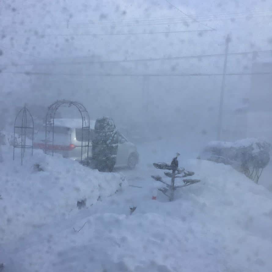 TERUさんのインスタグラム写真 - (TERUInstagram)「函館の実家が凄い事になってる。  北海道の豪雪のニュースを見て驚いてましたが、函館もかなり凄いです。  雪かき、大変なんですよね。  細部までロードヒーティングしてもらえたら、雪かき問題、かなり解消されるのにな〜と思うんですが、なかなか難しいですよね。  改めて写真見たけど、雪の量が凄いです。  大丈夫かな…。」1月18日 7時49分 - glay__teru