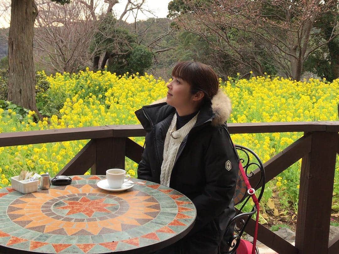 テレビ東京「朝の！さんぽ道」さんのインスタグラム写真 - (テレビ東京「朝の！さんぽ道」Instagram)「みなさま、こんにちは！ スタッフ3号です☀️ 今、中山エミリさんがロケに行ってます！  菜の花がすごく綺麗です🌼 エミリさんも相変わらずお綺麗です！ みなさま、放送をお楽しみに！  #テレ東 #朝のさんぽ道 #伊東 #中山エミリさん #菜の花 #とっっっても綺麗！ #個人的に菜の花大好き #お花大好き #スタッフ3号」1月18日 12時07分 - asanosanpomichi