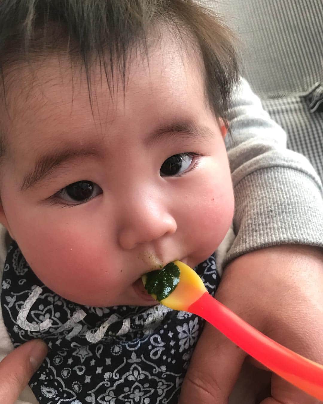 のインスタグラム：「離乳食！こんな可愛い顔して食べるの🥦💕終わったらもっと可愛くなるの🤣🤣🤣笑 #離乳食 ##ほうれん草 #ブサイクな顔もたまらない #たくさん食べてね #頑張って作るよ」