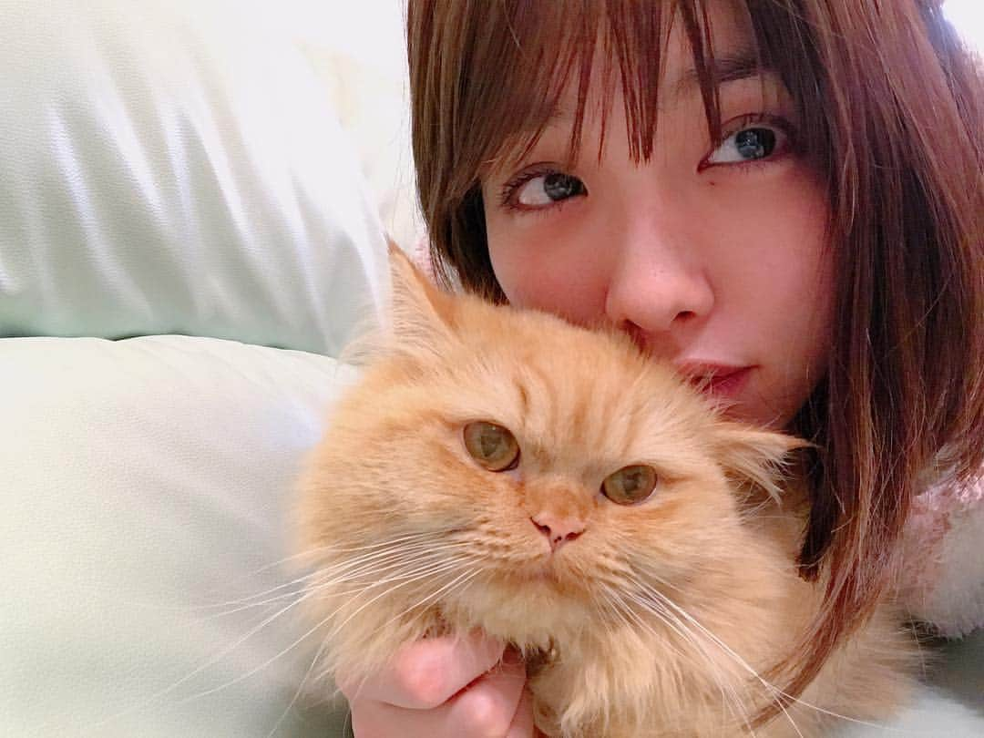 今野杏南さんのインスタグラム写真 - (今野杏南Instagram)「* * 🐈💤 #おやすみなさい💤」1月19日 0時12分 - anna_konno0615