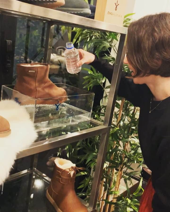 アリスのインスタグラム