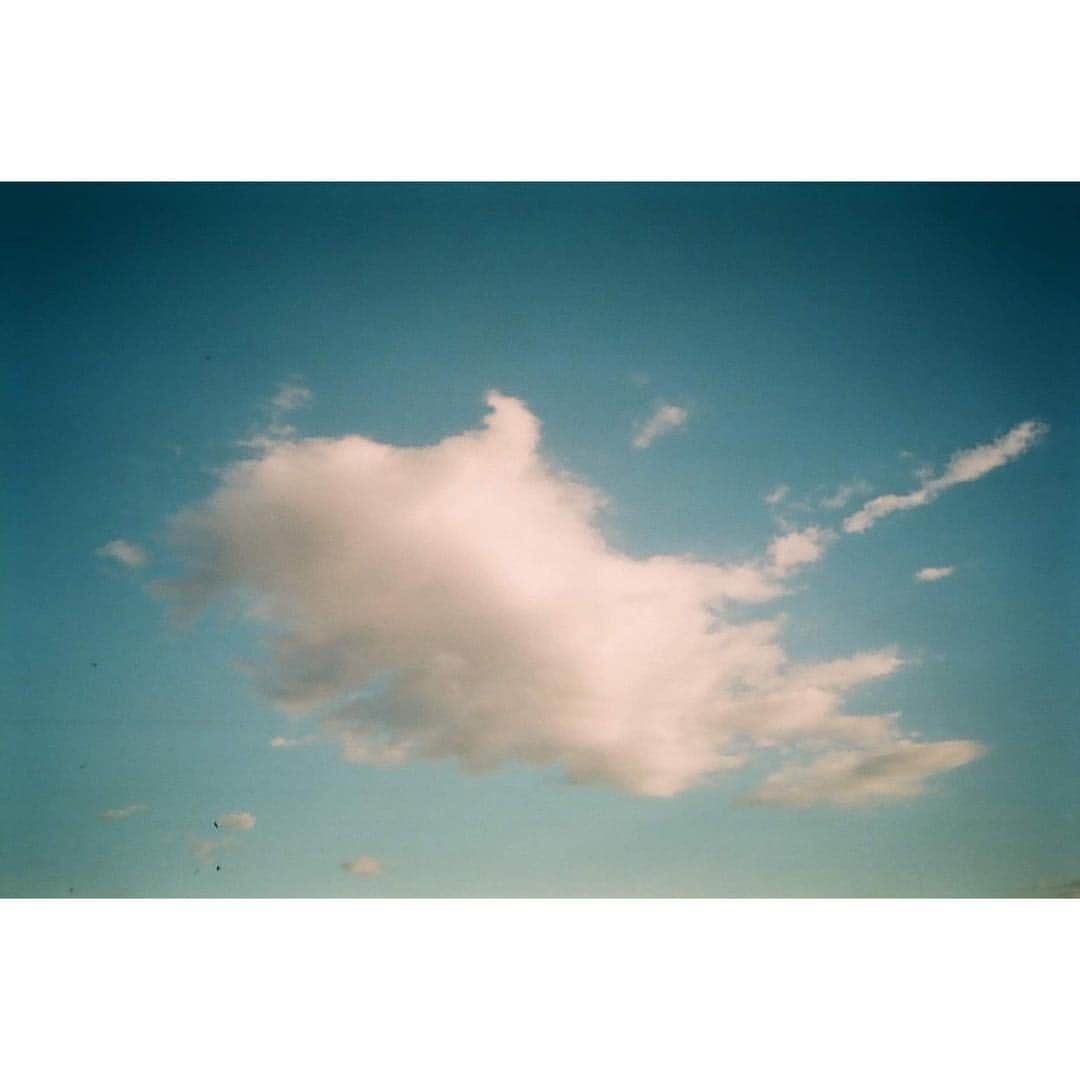 弓ライカさんのインスタグラム写真 - (弓ライカInstagram)「雨が恋しい」1月18日 17時34分 - yumi_raika