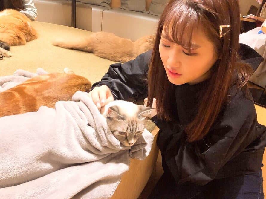 西野未姫さんのインスタグラム写真 - (西野未姫Instagram)「😸❤️ #猫カフェ #動物かわいい #癒し #飼いたい #みんなにお世話できないって言われる #なんでなんでなんで」1月18日 22時34分 - nishinomiki_official
