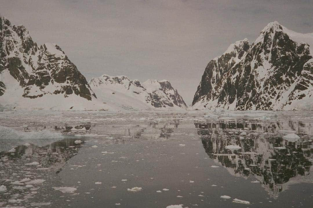 カミラ・ロウさんのインスタグラム写真 - (カミラ・ロウInstagram)「Antarctica on film 🐧 pt.1」1月19日 11時13分 - fingermonkey