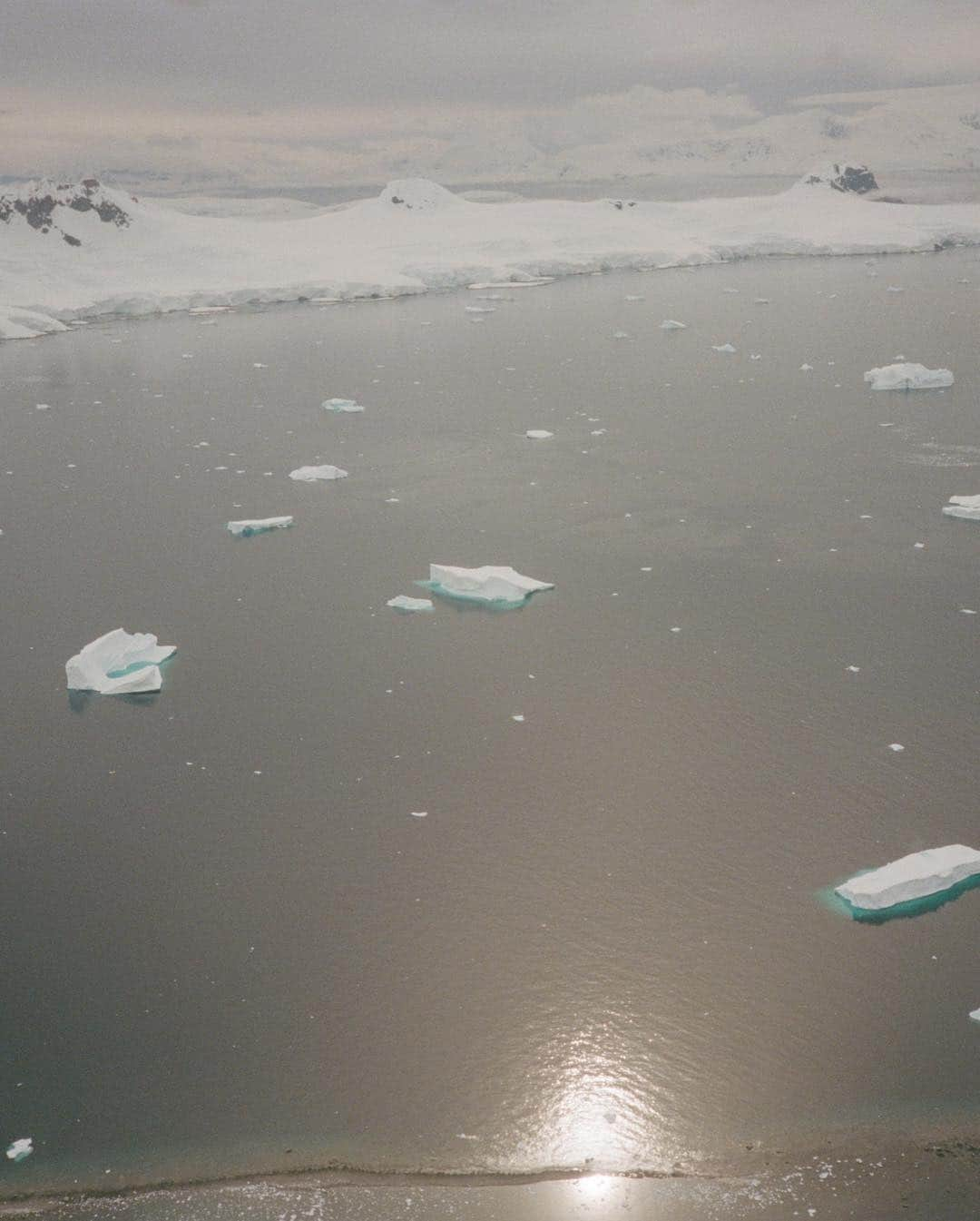 カミラ・ロウさんのインスタグラム写真 - (カミラ・ロウInstagram)「Antarctica on film 🐋 pt.2」1月19日 11時30分 - fingermonkey