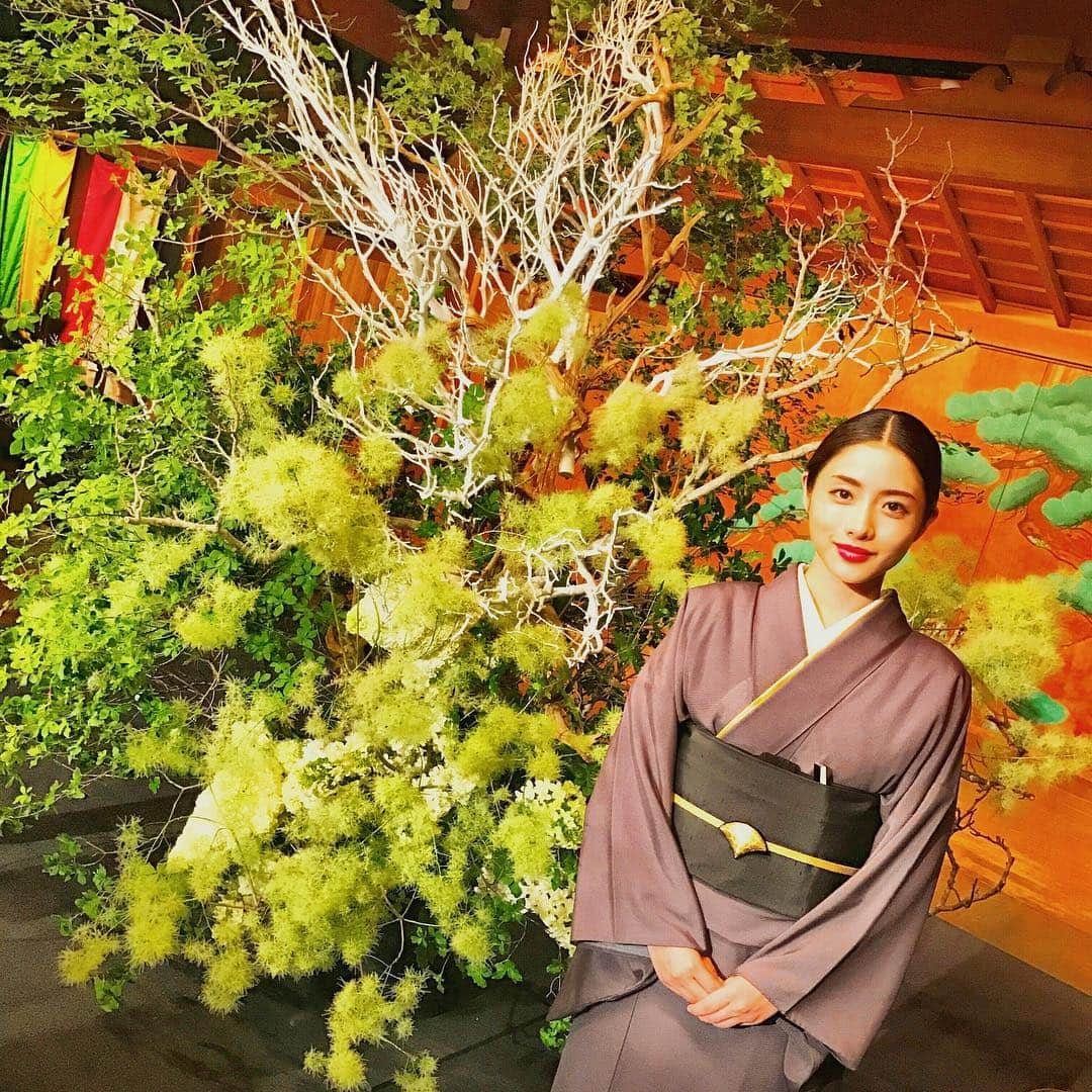 日本テレビ「高嶺の花」さんのインスタグラム写真 - (日本テレビ「高嶺の花」Instagram)「【#高嶺の花 DVD&Blu-ray BOX 本日発売！】 特典DISCにはスペシャルメイキング、生け花ギャラリー、#宇都宮龍彗会 生け花パフォーマンスなど、見どころ満載！！ 見れば撮影現場の雰囲気も味わえますよ！  #石原さとみ #峯田和伸 #芳根京子 #千葉雄大」2月13日 16時26分 - takanehana_ntv