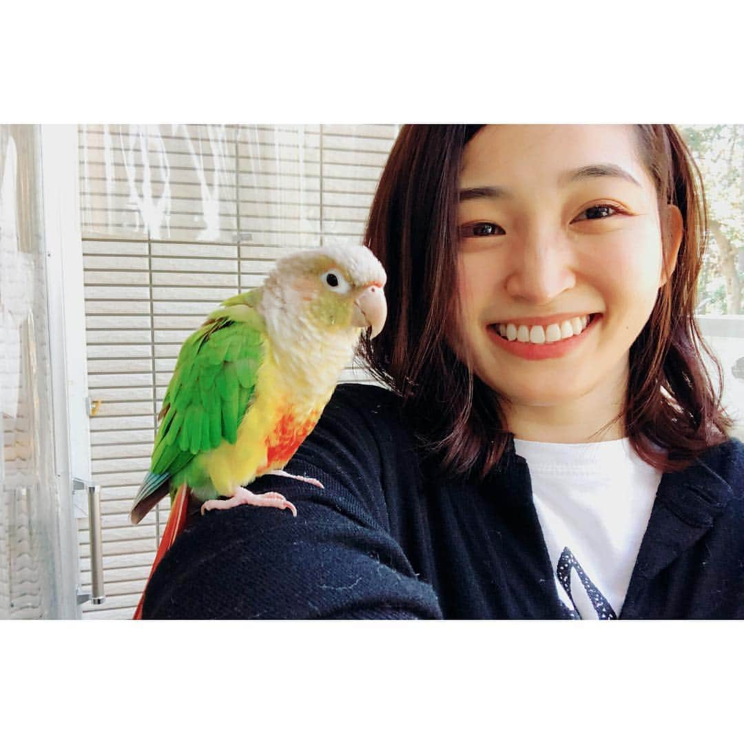 岡本玲さんのインスタグラム写真 - (岡本玲Instagram)「. この間のお休みに 小鳥カフェへ🕊  稽古中の舞台で小鳥が印象的に出てくるのですが、「そういえば私ほとんど小鳥と触れ合ったことがない…。ゆっくり見たこともない…。」と思い、ひとりでぷらっと行ってきました。  いやぁ、癒された。 かわいかったぁ。 小鳥たち見ながらまったりお茶🍵 触れ合いもできました🕊  4枚目の頭をすりつけてるのは、 甘えてる様子らしい。嬉しい。 いろんな質問に優しく答えてくれた店員さん、 ありがとうございました！ 舞台、がんばります！  でもさすがに、 作品内で私が小鳥に何をするかは、 うん、言えませんでした、、、🤭」2月13日 17時33分 - rei_okamoto