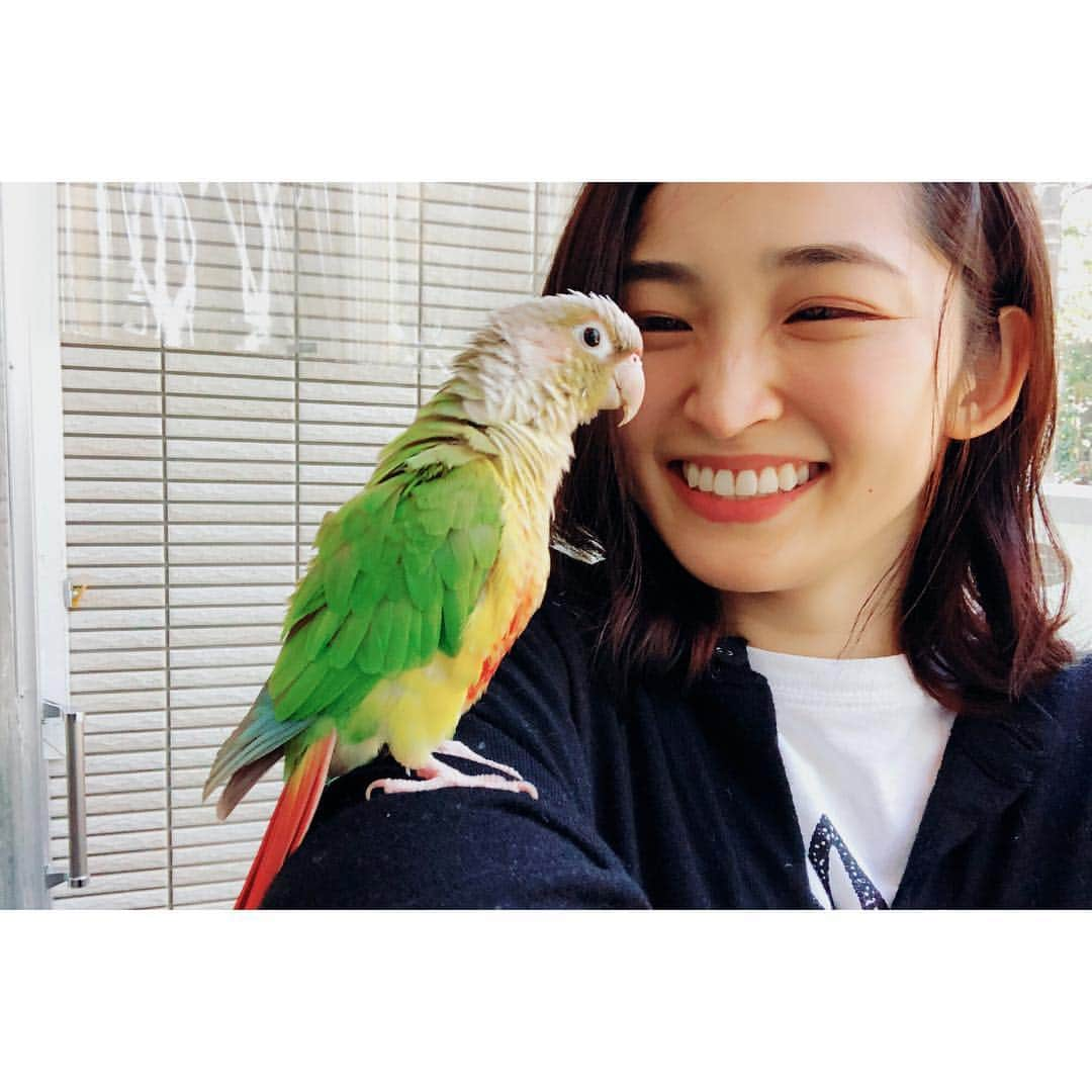 岡本玲さんのインスタグラム写真 - (岡本玲Instagram)「. この間のお休みに 小鳥カフェへ🕊  稽古中の舞台で小鳥が印象的に出てくるのですが、「そういえば私ほとんど小鳥と触れ合ったことがない…。ゆっくり見たこともない…。」と思い、ひとりでぷらっと行ってきました。  いやぁ、癒された。 かわいかったぁ。 小鳥たち見ながらまったりお茶🍵 触れ合いもできました🕊  4枚目の頭をすりつけてるのは、 甘えてる様子らしい。嬉しい。 いろんな質問に優しく答えてくれた店員さん、 ありがとうございました！ 舞台、がんばります！  でもさすがに、 作品内で私が小鳥に何をするかは、 うん、言えませんでした、、、🤭」2月13日 17時33分 - rei_okamoto