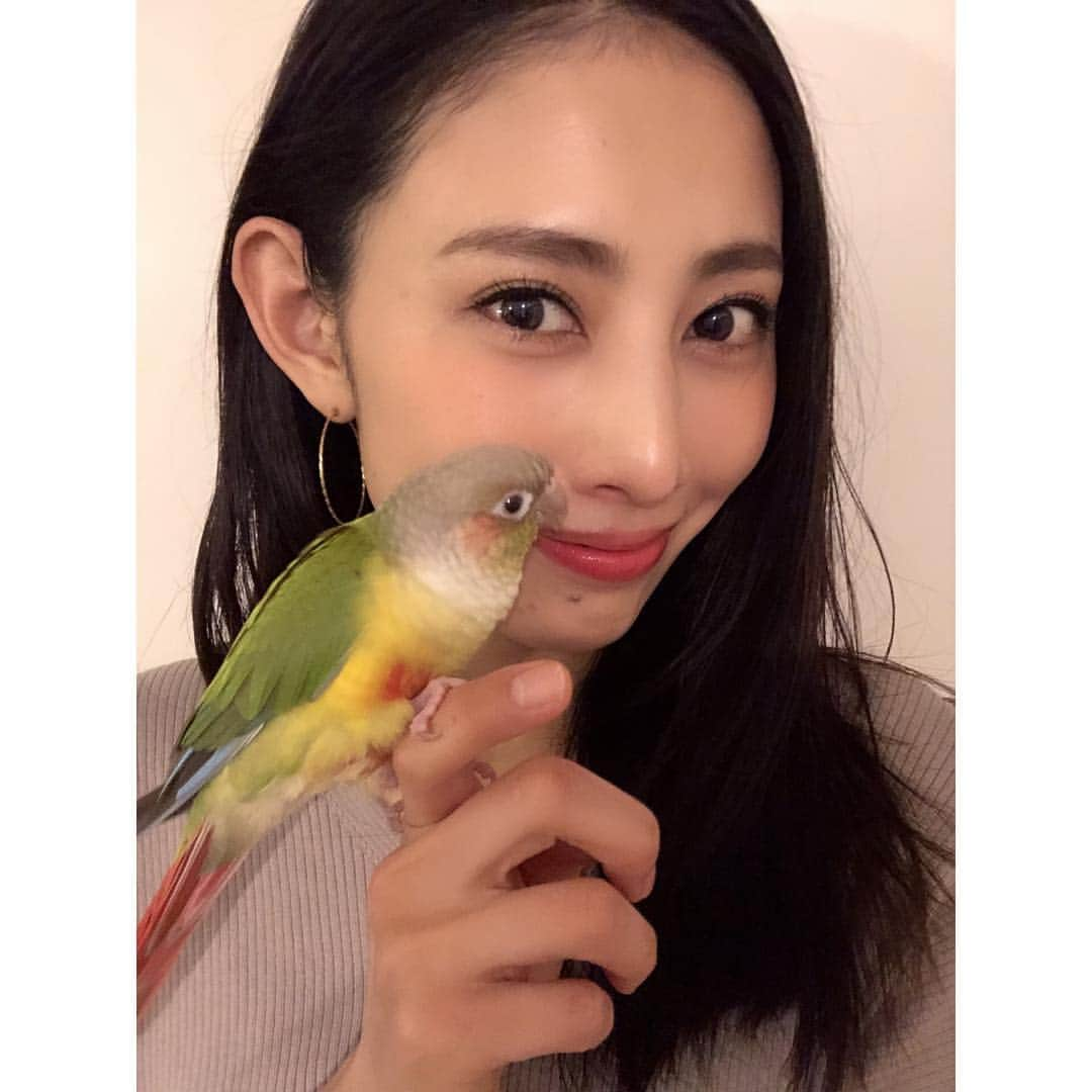 島村まみのインスタグラム：「最近お気に入りのリップ💄 ボビィブラウンのエクストラリップティント✨ 保湿効果高くてティントだから落ちづらいのもGOODです☺️👍 つけてるのはベアメロンです。 化粧薄めの時はベアヌードつけてます💋  #bobbibrown #エクストラリップティント #リップクリーム#ウロコインコ#ウロコインコパイナップル」