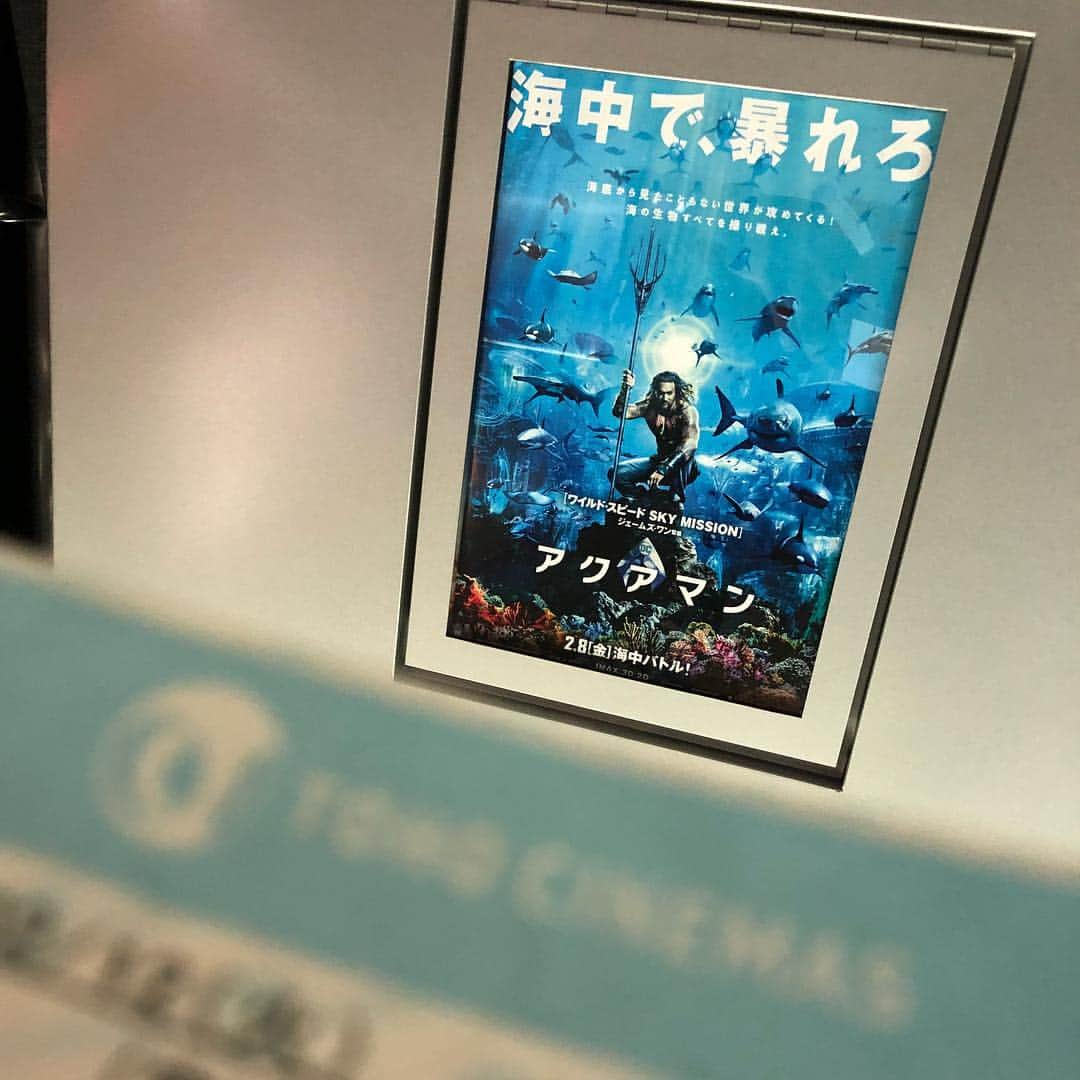 のインスタグラム：「海や水が苦手な俺‼️憧れるぅー🐋🐬🦀🦑 #アクアマン」