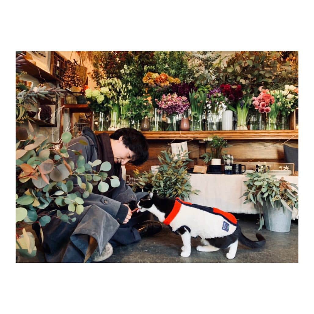 上杉柊平さんのインスタグラム写真 - (上杉柊平Instagram)「🐈」2月13日 21時18分 - shuheiuesugi8