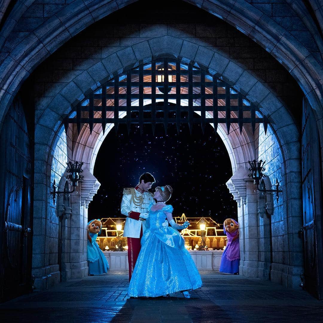 東京ディズニーリゾートのインスタグラム