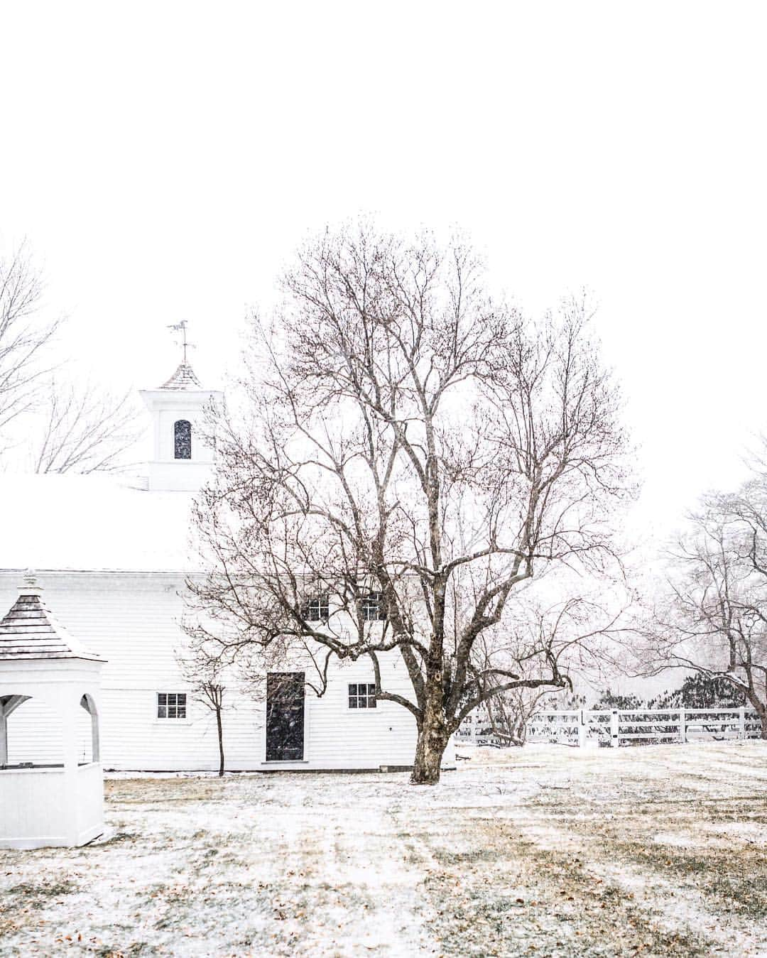 Krissyのインスタグラム：「rain drops are washing away the remains of yesterday’s storm revealing the still green ground beneath- but for a brief moment yesterday afternoon the world was quiet and calm and incredibly white. It all seemed more dreamlike than lifelike . And this view of our beautiful old barn in its element, standing as it’s always done through each season for the last two hundred years, it never gets old. And, I swear I can see it smiling when those flakes begin to fly . . . . . #cottagefarm #wheretofindme #mynewengland #scenesofnewengland #postcardsfromtheworld #winterwonderland #cozyvibes #nothingisordinary #artofvisuals #seekmoments #momentslikethese #searchwandercollect #prettycities #winterishere #embracingtheseasons #darlingweekend #livebeautifully」