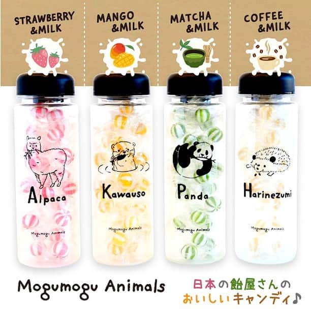 HAPiNSさんのインスタグラム写真 - (HAPiNSInstagram)「かわいいキャンディボトルに アニマル柄「Mogumogu Animals」シリーズが登場✨😆 中身のキャンディはそれぞれしっかり風味のついた 日本の飴屋さんがつくったおいしいキャンディです♪😄 キャンディを食べ終わったあとも 容器のボトルは、水筒としてや、 保存容器としてもお使いいただけちゃいます✨☺️ プチギフトにもおすすめです♪ ◇アルパカ:イチゴミルク風味 ◇カワウソ:マンゴーミルク風味 ◇パンダ:抹茶ミルク風味 ◇ハリネズミ:コーヒーミルク風味 - ■Mogumogu Animalsキャンディボトル ¥500+税 - #HAPiNS #ハピンズ #ハピンズ公式 #ハピンズオリジナル #ギフト雑貨のハピンズ #PASSPORT #passport #パスポート #パスポート公式 #雑貨 #雑貨屋 #パスポートオリジナル #プチプラ #キャンディボトル #アニマル #キャンディ #クリアボトル ※一部店舗にてお取扱いが無い場合がございます。御了承下さいませ。」2月14日 7時29分 - hapins_official