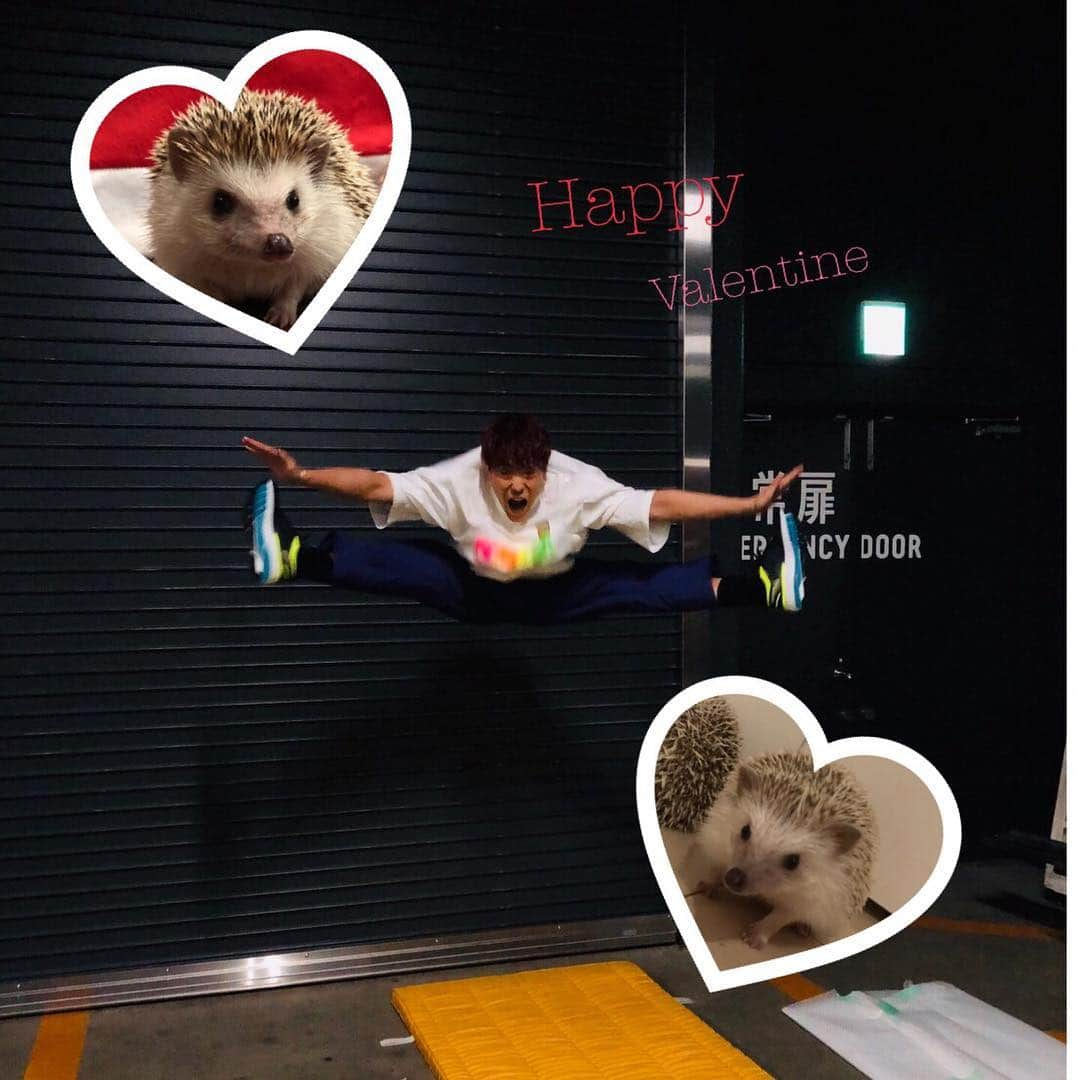 中務裕太さんのインスタグラム写真 - (中務裕太Instagram)「HAPPY VALENTINE🤩 チョコください…………🍫 #今日も #ライブ #プリンスオブレジェンド  #全国の #プリンセスたち #見ててくれよ #すみません #今日も #調子乗りました #どうぞ #叩いてください #笑」2月14日 18時58分 - yuta_nakatsuka_official