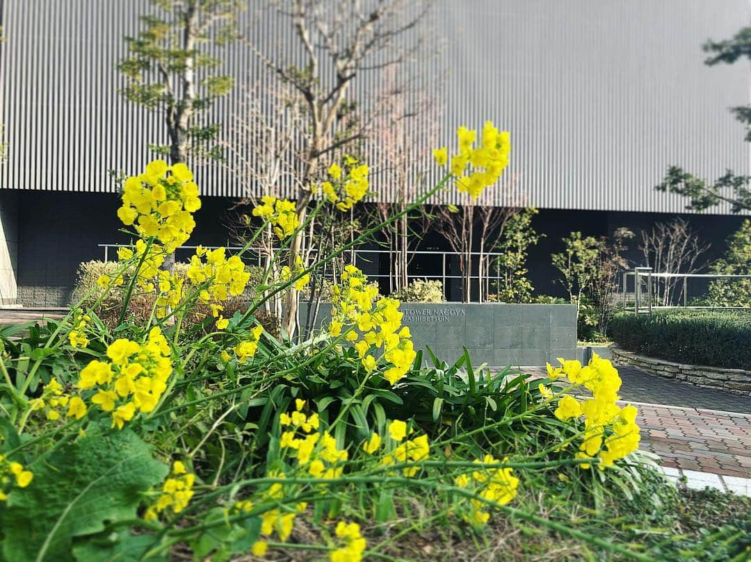 島津咲苗さんのインスタグラム写真 - (島津咲苗Instagram)「今朝のイマネタでは、池江璃花子選手の大親友、今井月選手の言葉をお伝えしました。 今井選手と池江選手は同じ18歳。小さい頃から顔を合わせる中でしたが、親友と呼ぶほど仲良くなったのは中学二年生の頃、代表合宿で同じ部屋になった時だそうです。池江選手って普段はどんな感じなの？とたずねると、「テレビほどしっかりしてないですよ！結構ぬけてます！(笑)」と。2人で一緒に寝坊して練習に遅れて、休みがなくなったこともあったと笑顔で思い出を話してくれました。本当に池江選手のことが大好きなんだなぁと感じると同時に、親友である今井選手も池江選手と同じように前を向こうとしているんだなと、その心の強さに頭が下がる思いでした。 「まずは本当に元気になってほしい。周りにオリンピックとか色々言われると思うけど、それよりも、体のことに気をつけて、ゆっくり休んでほしい。」今井選手の言葉です。本当にその通りだと思います。改めて、今の思いを語ってくださり、本当にありがとうございました。  きっと、1週間後、1ヶ月後と時間が経つと、テレビで扱われる時間は少なくなると思います。日々伝えるべき新しいニュースが入ってくるので仕方のないことではあります。私にはただ祈ることしかできませんが、昨日取材した時の気持ちを忘れないために書き留めておこうと思います。  #メーテレ #ドデスカ #イマネタ #島津咲苗 #池江璃花子 選手 #今井月 選手」2月14日 19時06分 - sanae_shimazu