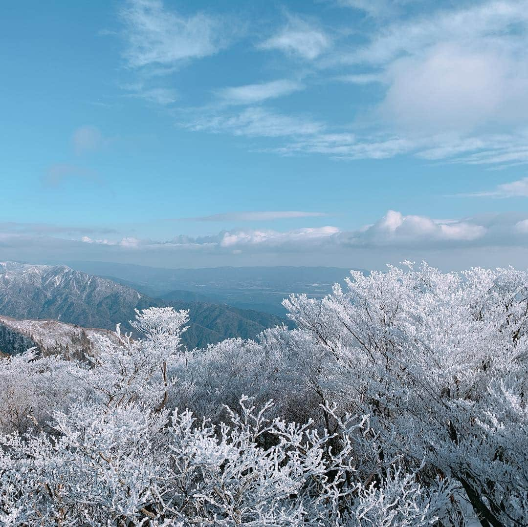 萩美香さんのインスタグラム写真 - (萩美香Instagram)「三重県×雪＝…。 #三重県 #湯の山 #御在所岳 #樹氷 #氷瀑  #寒さも忘れる綺麗さ  #運動オンチなので  #ソリもうまく滑れない…」2月14日 19時15分 - mika_hagi927