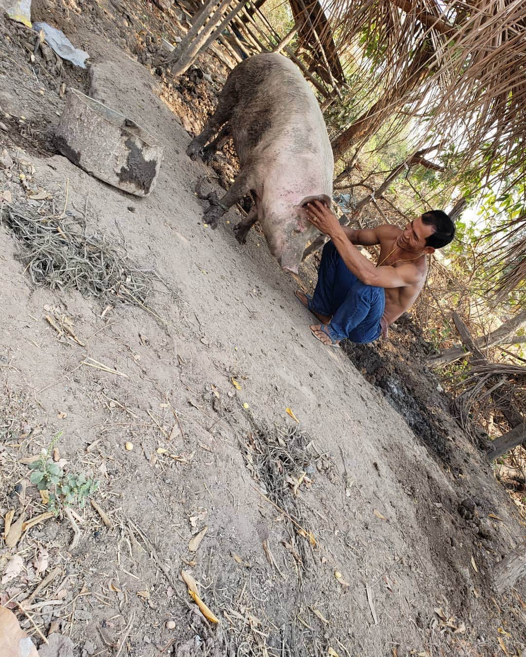 南楓さんのインスタグラム写真 - (南楓Instagram)「自立の難しさ 与えるだけではだめ 乾季が来ると水もなくなるため農業もできない、そのため今は養豚に挑戦しているそうです。  #CMC #cambodia #battambang #asia」2月14日 17時16分 - kaede_elysion