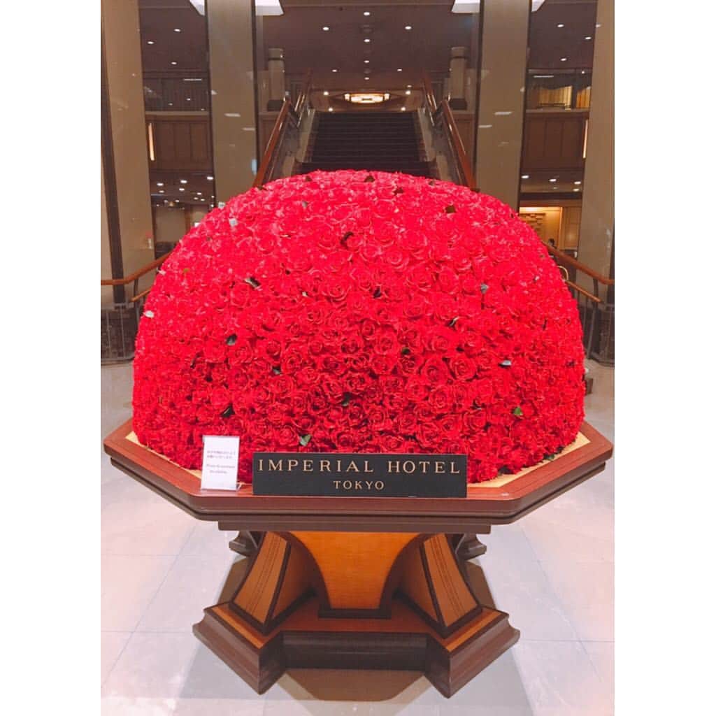 五十嵐圭さんのインスタグラム写真 - (五十嵐圭Instagram)「家族で食事へ。 #帝国ホテル #インペリアルバイキングサール」2月14日 17時53分 - keiigarashi_official
