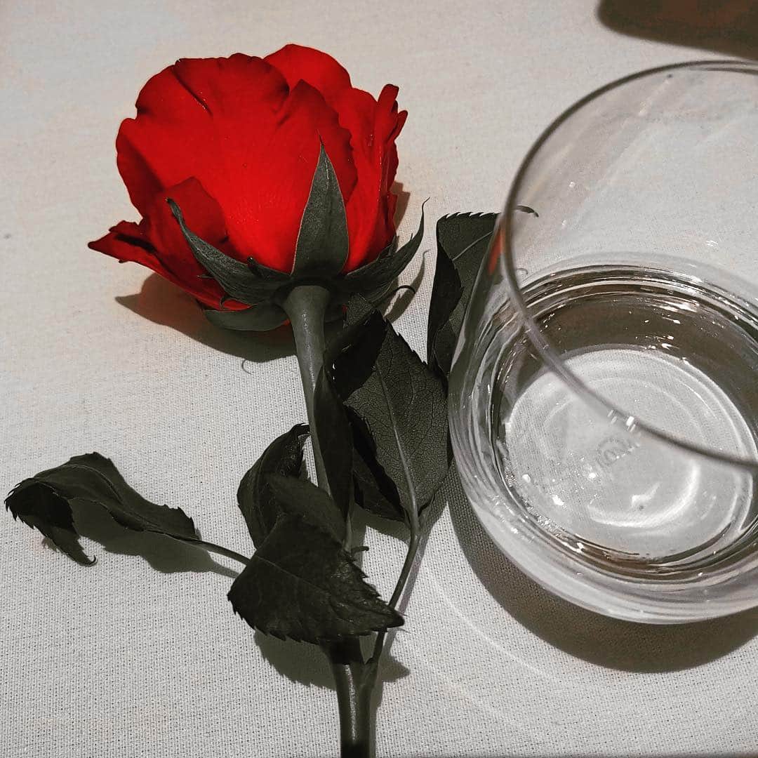 エルロイのインスタグラム：「Happy Valentine’s Day bleed me bleed yous」