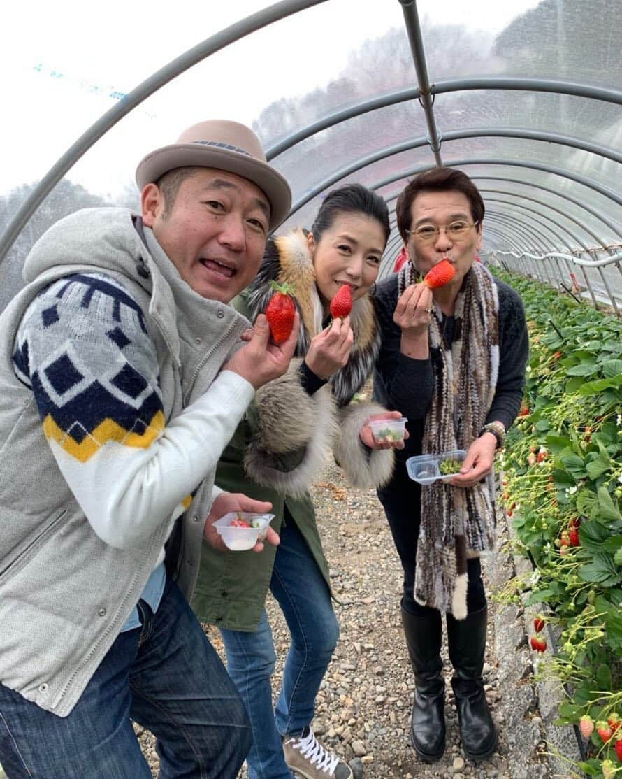 高橋ひとみのインスタグラム