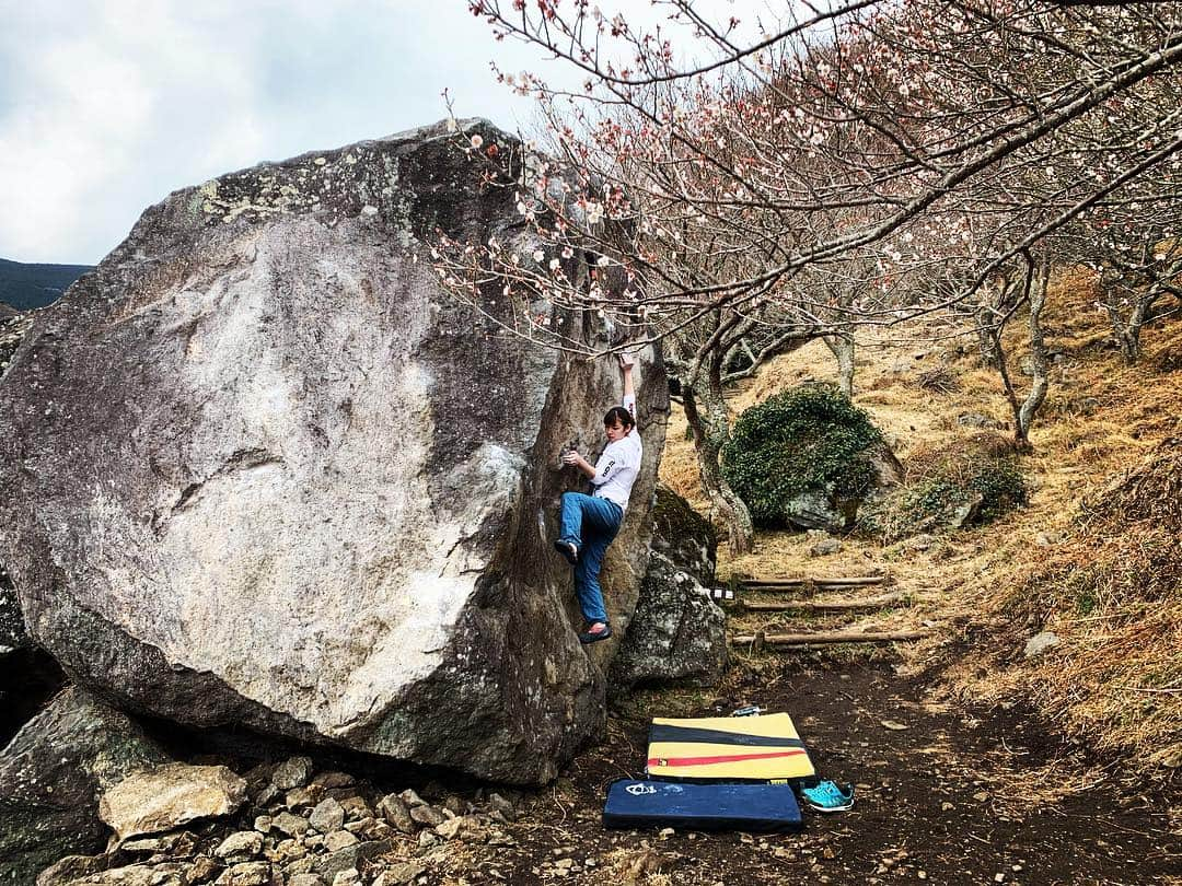 金子桃華さんのインスタグラム写真 - (金子桃華Instagram)「・ リョーマくんの📸センスが 神ってたやつ🙆‍♀️🙆‍♀️ #climbing  #bouldering  #湯河原」2月15日 1時00分 - momoka_8611