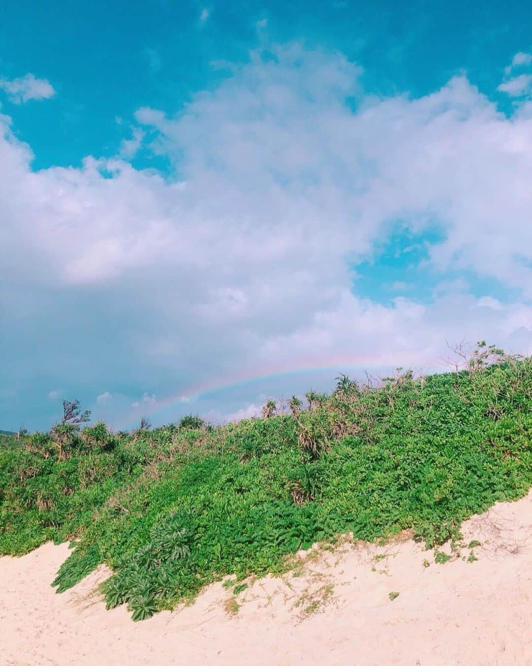 佐藤栞里さんのインスタグラム写真 - (佐藤栞里Instagram)「. 前日の天気予報は曇りと雨。 心配しながら朝を迎えましたが、 窓を見ていたらどんどん雲が飛んでいって 奇跡的に太陽も出てくれました！ おかげできらっきらの海と大きな虹も☺️🌈 ついてたなー😚✨ #宮古島 #素敵な撮影になりました🌺」2月15日 22時08分 - satoshiori727