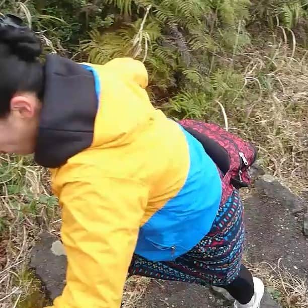 きまぐれなミューズたちのインスタグラム：「リフレッシュvol.2 強化合宿😫登山 #リー社長 #サスペンス #リフレッシュ #登山 #山登り #hiking#ハイキング#強化合宿 #きつい #八丈富士 #大自然 #yoga#yogini  #楽しい #気まぐれなミューズ #0001」