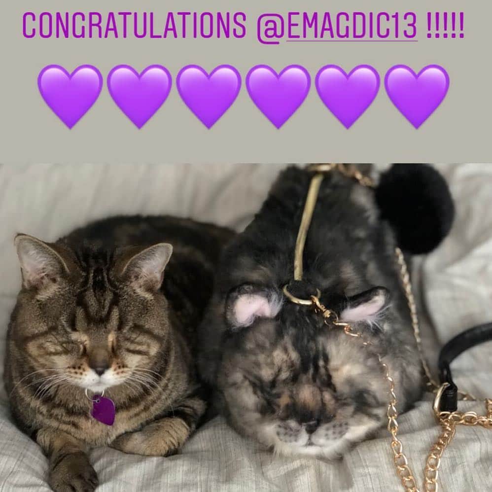 のインスタグラム：「Congratulations to @emagdic13 who gets the @cuddleclones purse of me!! 💜💜 thank you so much to everyone who entered!!! 👽👽👽👽」