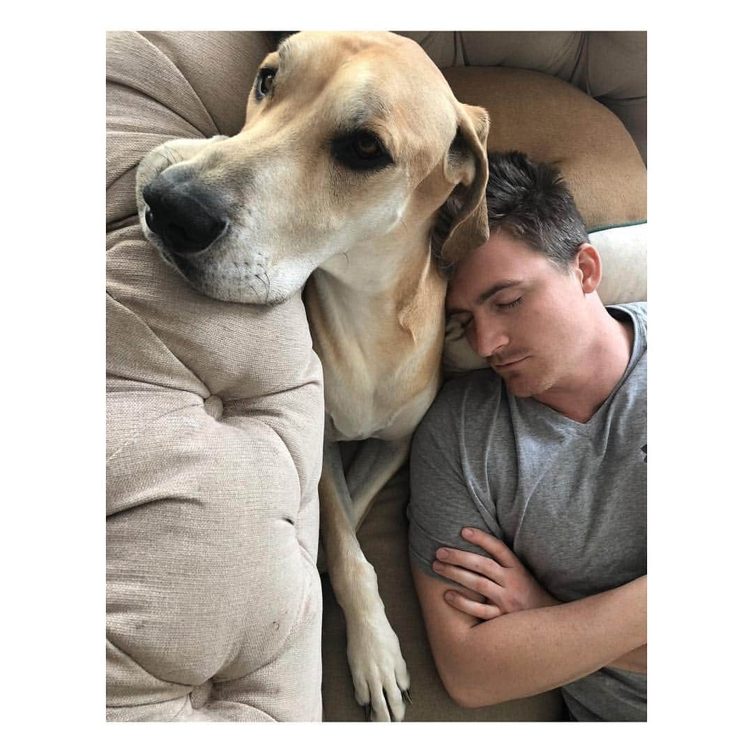 サーシャ・ピーターズさんのインスタグラム写真 - (サーシャ・ピーターズInstagram)「Happy belated Valentine’s Day babe 😘 thank you for being my best friend, soulmate, lover, my rock, the best dog dad, spider “relocater,” doggy poop picker upper...the list is never ending. ♥️♥️♥️ I love you with all my heart and soul.」2月16日 8時56分 - sashapieterse