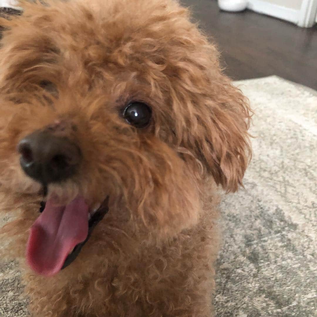 Loganさんのインスタグラム写真 - (LoganInstagram)「A mood 😜」2月16日 6時23分 - loganslook