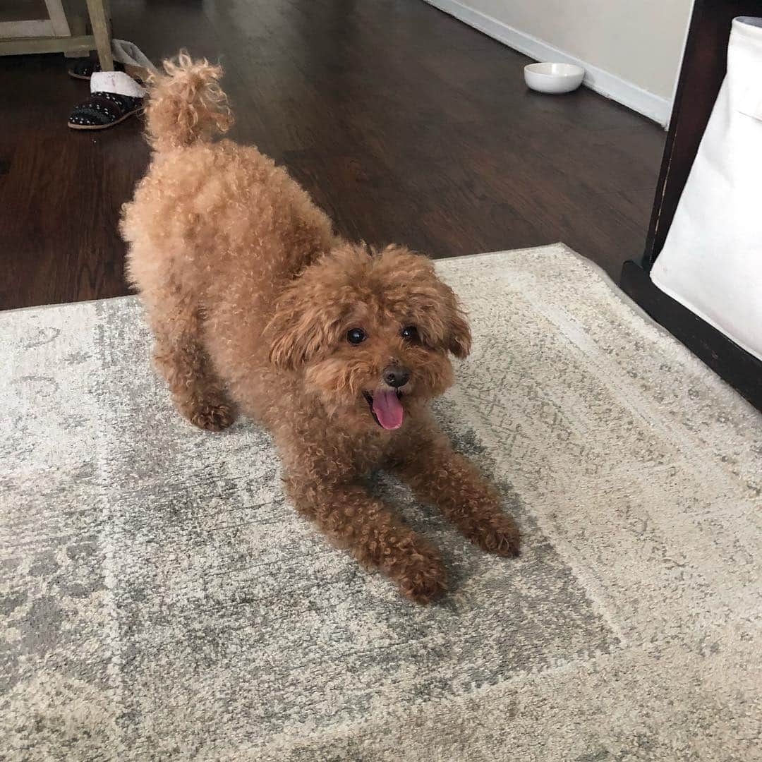 Loganさんのインスタグラム写真 - (LoganInstagram)「A mood 😜」2月16日 6時23分 - loganslook