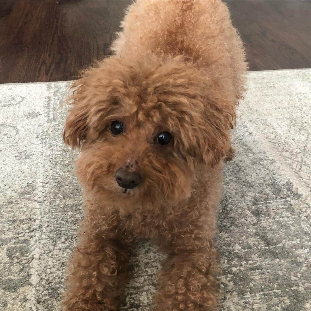 Loganさんのインスタグラム写真 - (LoganInstagram)「A mood 😜」2月16日 6時23分 - loganslook