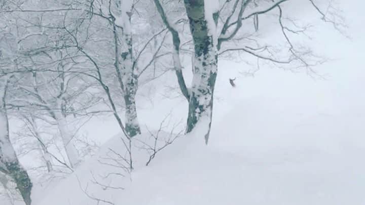 のインスタグラム：「Mountain life🗻💫 #japow #powder #snowboarding #mytrack」
