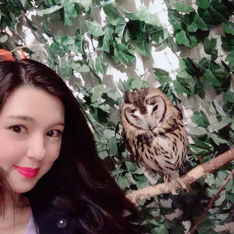 クロル舞のインスタグラム：「フクロウ飼いたい🦉 #フクロウ #フクロウカフェ #ハウステンボス#クロル舞」