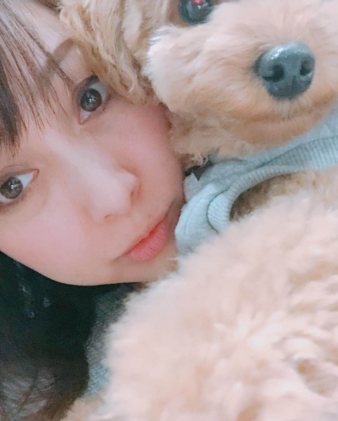 渡辺美奈代さんのインスタグラム写真 - (渡辺美奈代Instagram)「抱っこ大好きリル❤️」2月16日 19時51分 - watanabe_minayo