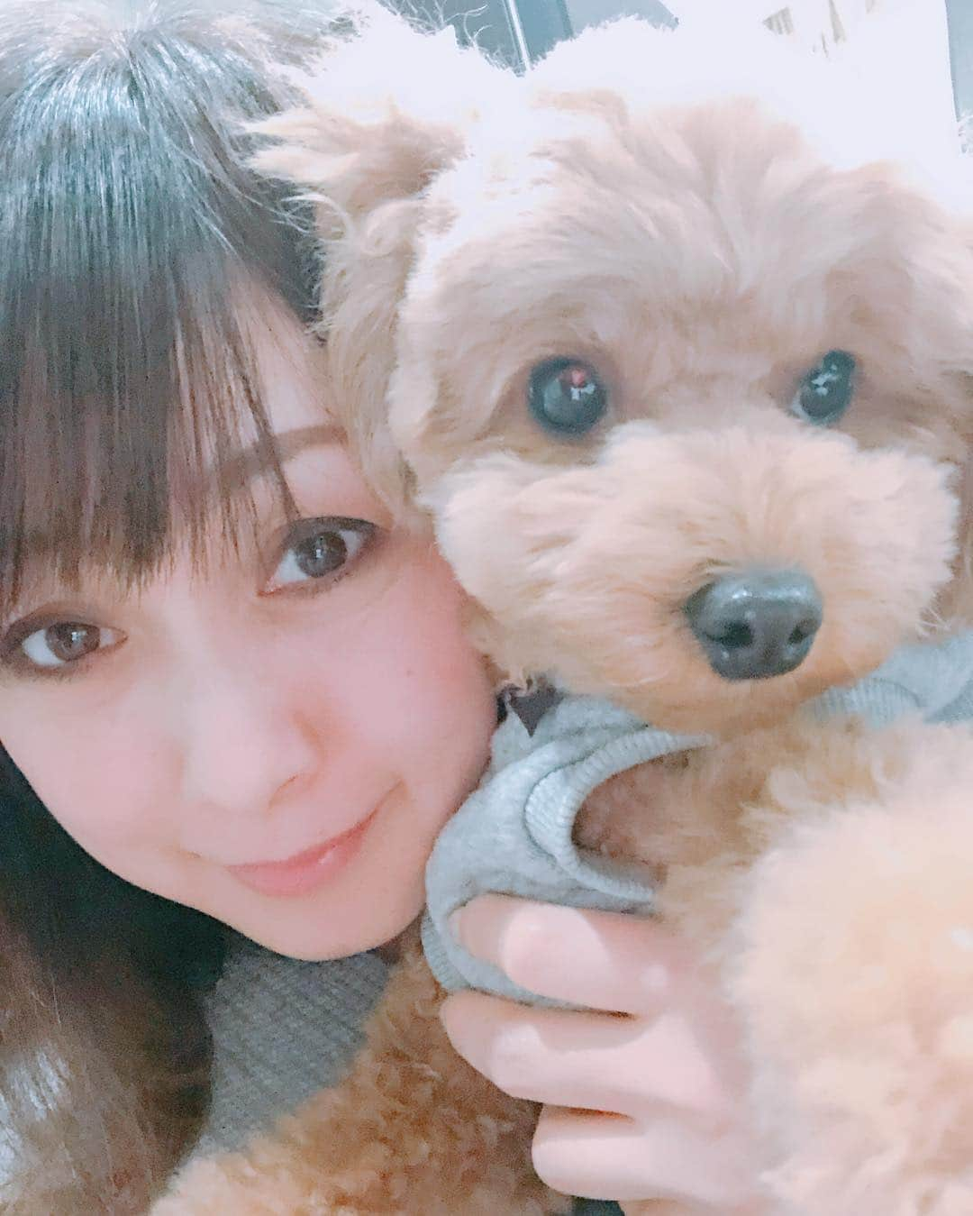 渡辺美奈代さんのインスタグラム写真 - (渡辺美奈代Instagram)「抱っこ大好きリル❤️」2月16日 19時51分 - watanabe_minayo