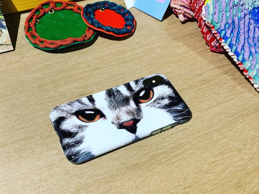 朝飛光太郎（グッドワイフ）のインスタグラム：「猫の気持ちが知りたい  #ねこ好き #ねこグッズ #ケース もねこ。」