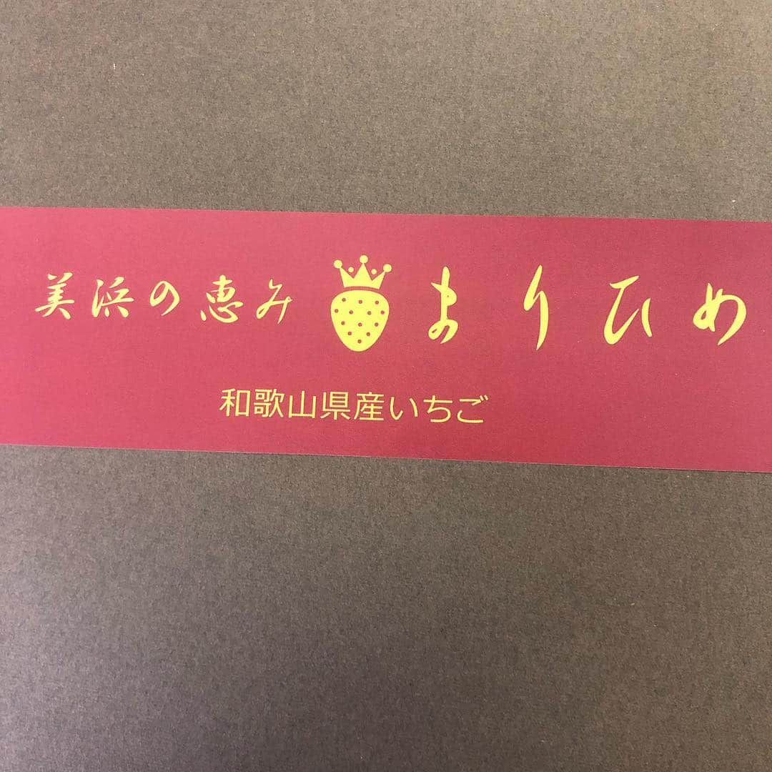 高嶋ちさ子さんのインスタグラム写真 - (高嶋ちさ子Instagram)「また絶対ここに来たい！！！ イチゴがお土産って最高」2月16日 23時51分 - chisakotakashima