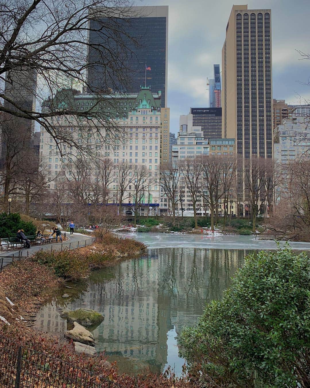 New Yorkのインスタグラム：「Stroll in Central Park. Thanks for the the love on stories the last few days ❤️」
