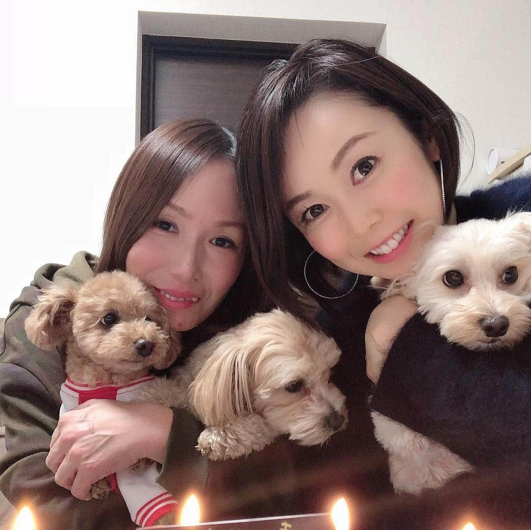 宮崎宣子さんのインスタグラム写真 - (宮崎宣子Instagram)「真理さん、お誕生日おめでとうございます🎉 同じ宮崎出身✨ そして、お互い愛犬家🐶 去年の宮崎市人会から急接近しました💕 真理さんは、本当に優しいし、 気配り、気の遣い方が凄すぎて尊敬✨ 仕事もめちゃくちゃできるし、 ひとつだけお姉さんなのに、すごく年の離れた妹のように甘えっぱなし😅💦 かっこよくて、憧れる✨✨ 今日もお誕生日なのに、 逆にたくさんのプレゼント🎁もらって帰ってきてしまいました😅💦 お誕生日お祝いできて幸せでした❤️ #甘えん坊犬 #マルプー #犬のいる暮らし #愛犬家 #宮崎出身 #お誕生日 #お誕生日おめでとう #気遣いすごい #仕事できる #配慮が素敵 #尊敬する人 #ついていきたい #お誕生日プレゼント #逆にもらってしまった #犬好きな人と繋がりたい #可愛い愛犬 #犬のいる暮らし #バースデーケーキ #お誕生日ケーキ #いちご落ちた」2月17日 1時19分 - miyazaki_nobuko