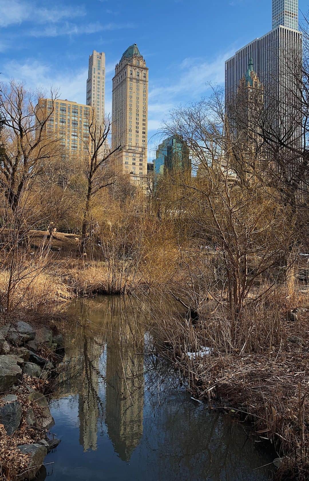 New Yorkのインスタグラム：「60 seconds in the City - Central Park」