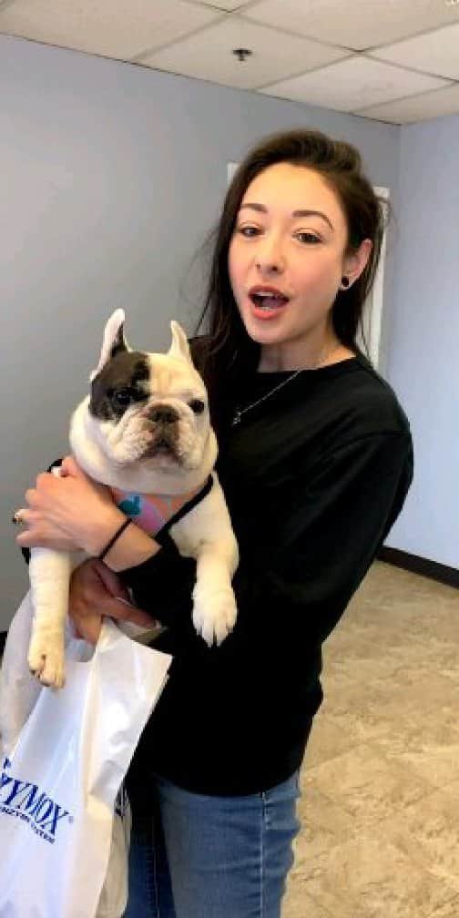 Manny The Frenchieのインスタグラム：「Manny is at it again! Watch our Zymox and foundation donation drop! ❤」
