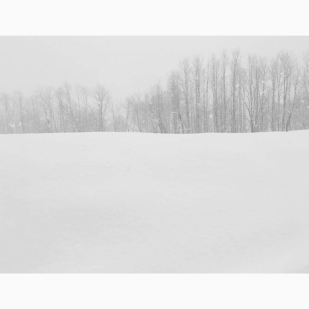 桝田沙也香さんのインスタグラム写真 - (桝田沙也香Instagram)「* 北海道で取材した「真実の行方」が 今日のJチャンネル内で放送予定です！ 是非ご覧ください。  これは年末に行った時の写真ですが、 今日も北日本では北海道を中心に  大雪になっていますね。。 くれぐれもお気をつけください。 * #スーパーJチャンネル #真実の行方 #桝田沙也香」1月24日 13時18分 - sayaka0masuda