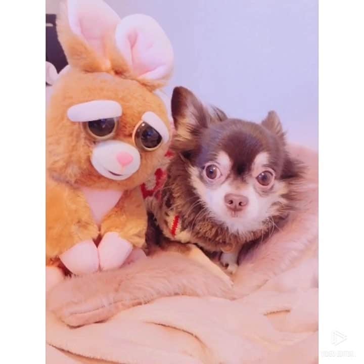 七瀬美月のインスタグラム